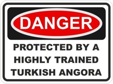 Türkisch Angora Katze Gefahr