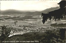 Furth Wald Further Senke Osser