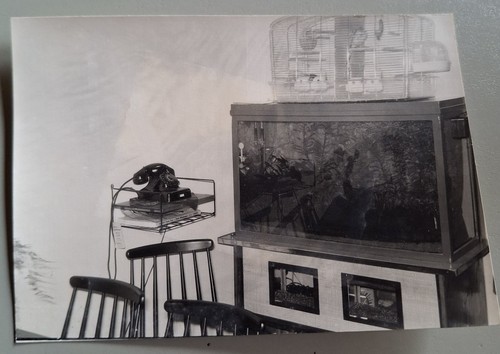 Altes foto vintage - altes,