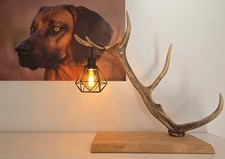 Rothirsch Stehlampe E27 Fassung Geweihlampe Lampe aus Hirschgeweih