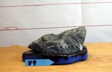 #84 Bonsai Präsentation