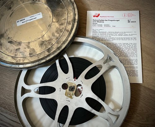 16mm film balzverhalten bei - 16mm, „balzverhalten