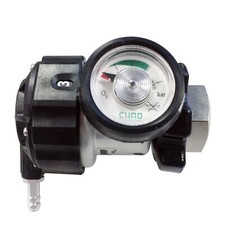 Bonsai Pneumatisches