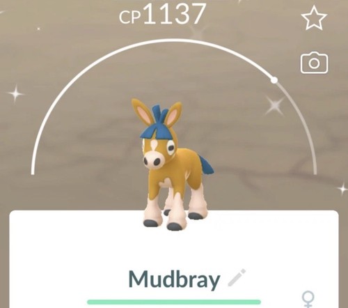 Pokemon shiny mudbray - pokemon, go
