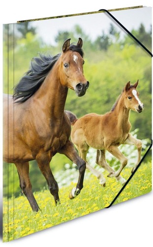 Herma eckspannermappe - herma,