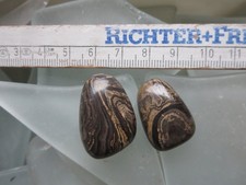 Stromatolith 2 Trommelsteine  17 g Sammlungsauflösung