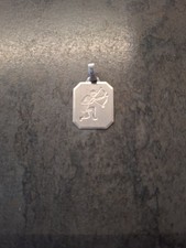 Toller Kettenanhänger , 925er