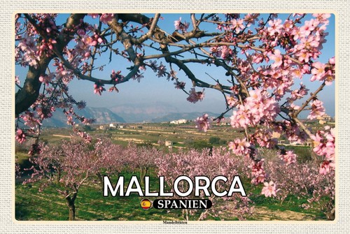 Blechschild 20x30 mallorca - blechschild,