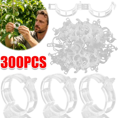 300x tomatenclips - 300x,