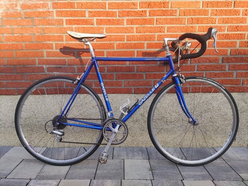 56cm gazelle champion - gazelle, mondial