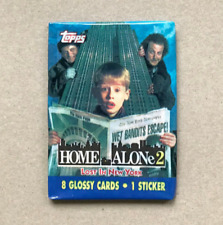 Kevin allein in New York