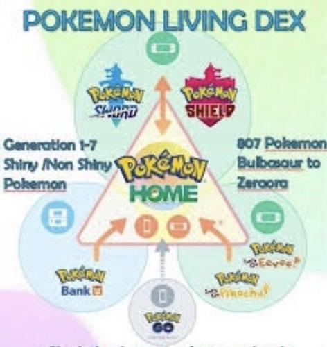 Pokémon shiny non - pokémon, shiny/non