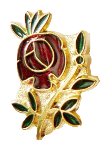 Rose croix freimaurer - rose,