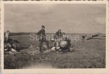Foto, abgestürztes Kampfflugzeug der Franzosen in Frankreich (MJ-46)1025