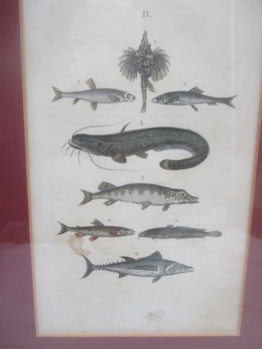 Original lithographie 8 - original,