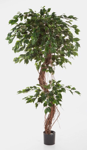 Artplants künstlicher ficus - artplants,