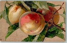 39618418 - Klein, C. / C