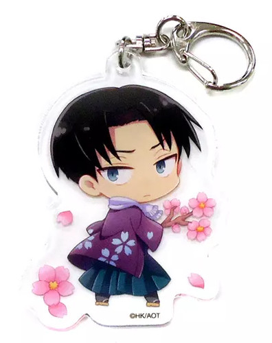 Attack titan levi - on,