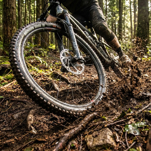 Maxxis minion dhr - maxxis,