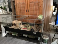 Nagerkäfig Colosseum (More for) inklusive Käfigständer