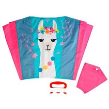 Wolkenstürmer Kinderdrachen