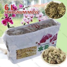 Sphagnum Moisturizing Moss Organic Fertilizer Orchideen Phalaenopsi Moos 6/12L