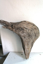 Schwemmholz Treibholz