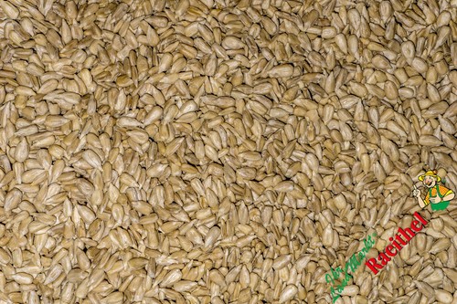 Sonnenblumenkerne - (2,53€/kg),