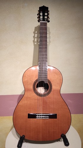 Martinez konzert gitarre - konzert,