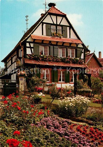 Bischwiller maison alsace - d,