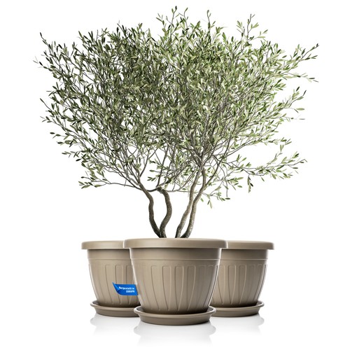 Blumentopf mit untersetzer - blumentopf,