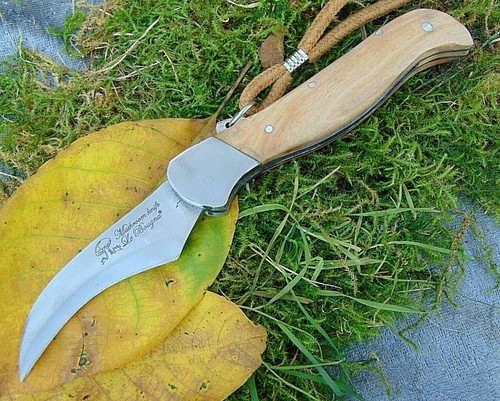 Pilzmesser schwammel mit - pilzmesser,,