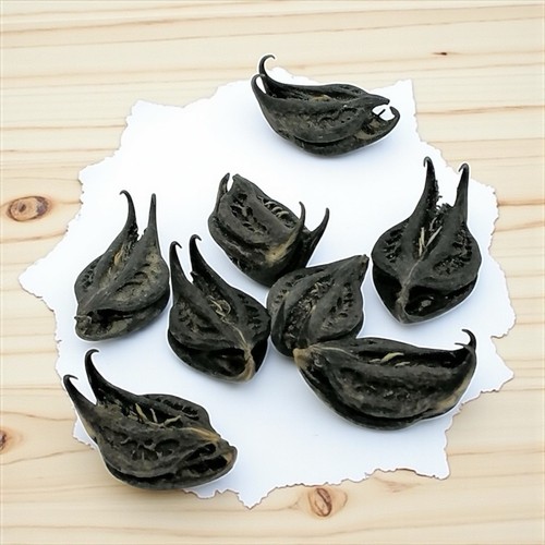Devils pod bat nut hoodoo - 3,