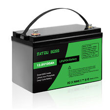 LiFePO4 12V 100Ah Lithium Batterie Akku BMS Solarbatterie Solaranlage Boot RV