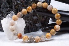 Edelstein Armband Korallen Fossil | 8mm Kugelarmband