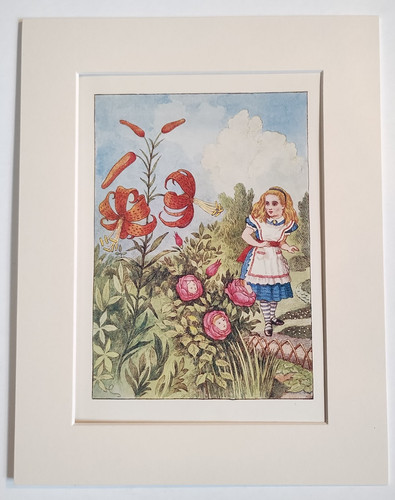 Vintage alice wunderland druck - vintage,