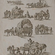 Killian Ponheimer Pferde