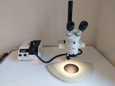 Stereomikroskop Leica MZ6 mit Stativ und Beleuchtung