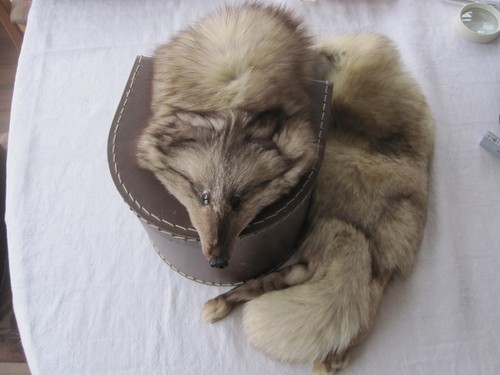 Pelzkragen pelzstola fuchs - pelzkragen,