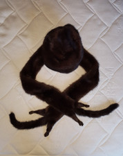 Nerz (Mink, Hermelin, Marder?)