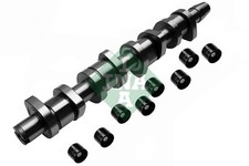 INA 428 0039 30 Camshaft Kit