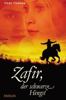 Zafir der schwarze - zafir,, hengst