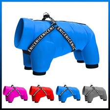 Hundemantel winter wasserdicht - winter,