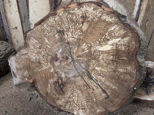 Baumscheibe holzscheiben - baumscheibe,,