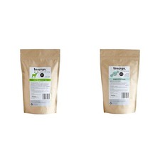 Teapigs Mao Feng Grüntee aus