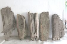 Schwemmholz Treibholz 5