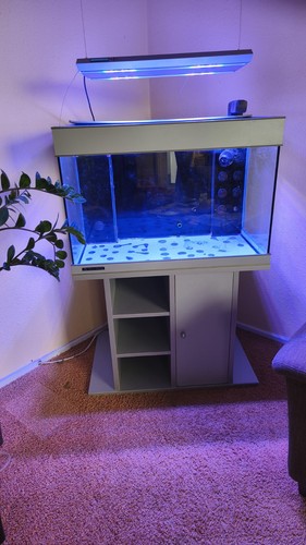 Meerwasseraquarium von aqua - meerwasseraquarium,