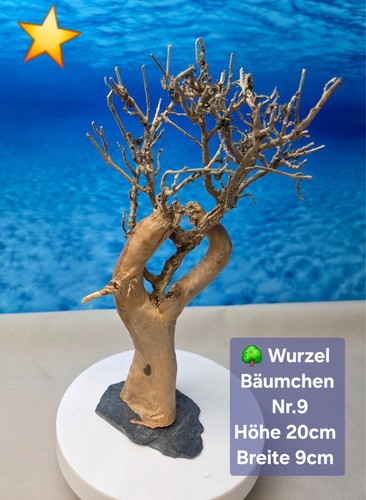Aquarium wurzel bonsai - 🌳aquarium,