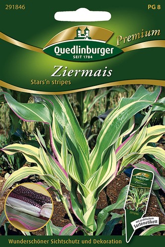 Quedlinburger ziermais stars - quedlinburger,