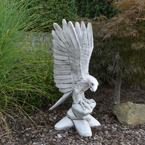 Steinadler adler vogel - steinadler,